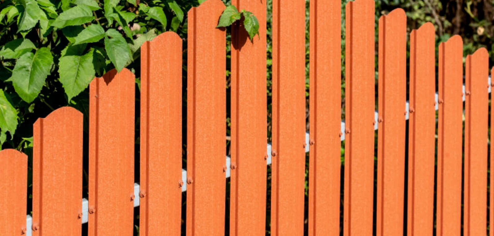 Штахетник металевий напівкруглий 106 — 2